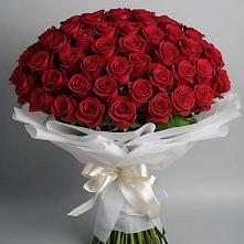 Букет 101 Красная роза Блэк Мэджик в Молоково