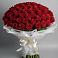 Букет 101 Красная роза Блэк Мэджик в Молоково