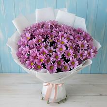 Букет цветов из:  Хризантемы в Молоково