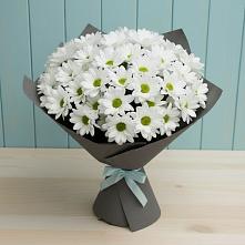 Букет цветов из:  Хризантемы в Молоково
