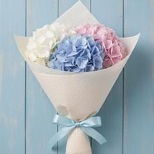 Букет цветов из:  Гортензия в Молоково
