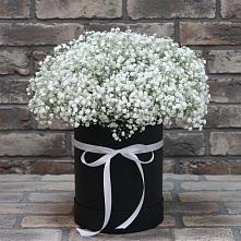 Цветочная композиция из Гипсофила в шляпной коробке в Молоково