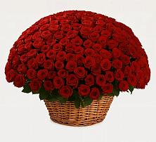 Премиум букет из: Розы в Молоково