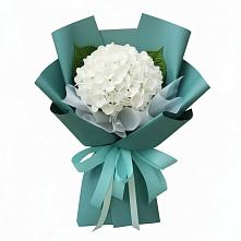 Букет цветов из:  Гортензия в Молоково